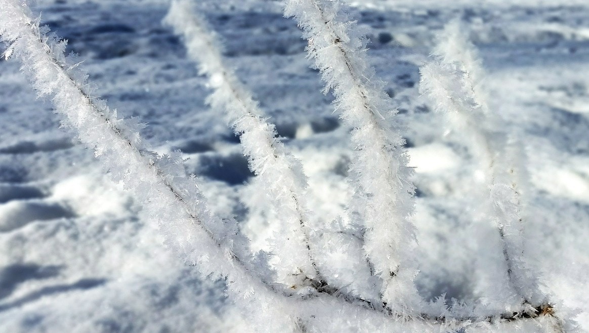 Kein Ende in Sicht - Kältewarnung aufrecht: Österreich bibbert weiter