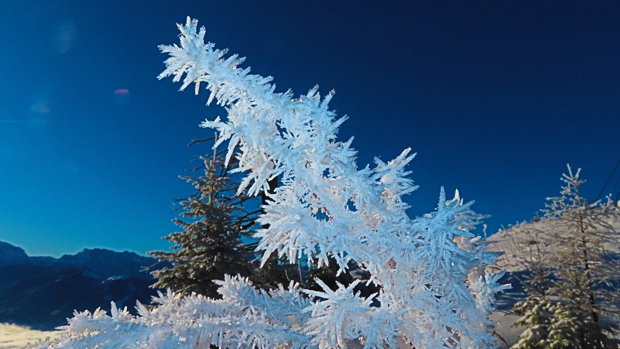 Leseraktion - Das sind die besten Winterbilder unserer Leser!