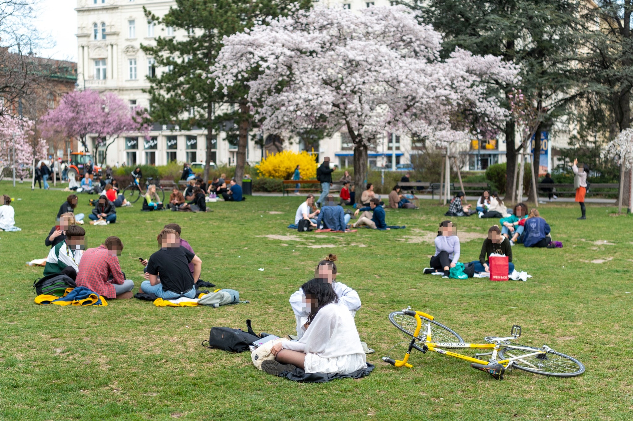 Frühling im Anmarsch - Nach dicker Schneeschicht: Bald bis zu 20 Grad!