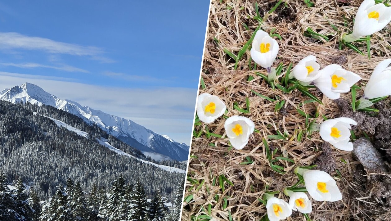 Bis 20 Grad in Tirol - Nach Schnee-Woche kommen nun Frühlingsgefühle auf