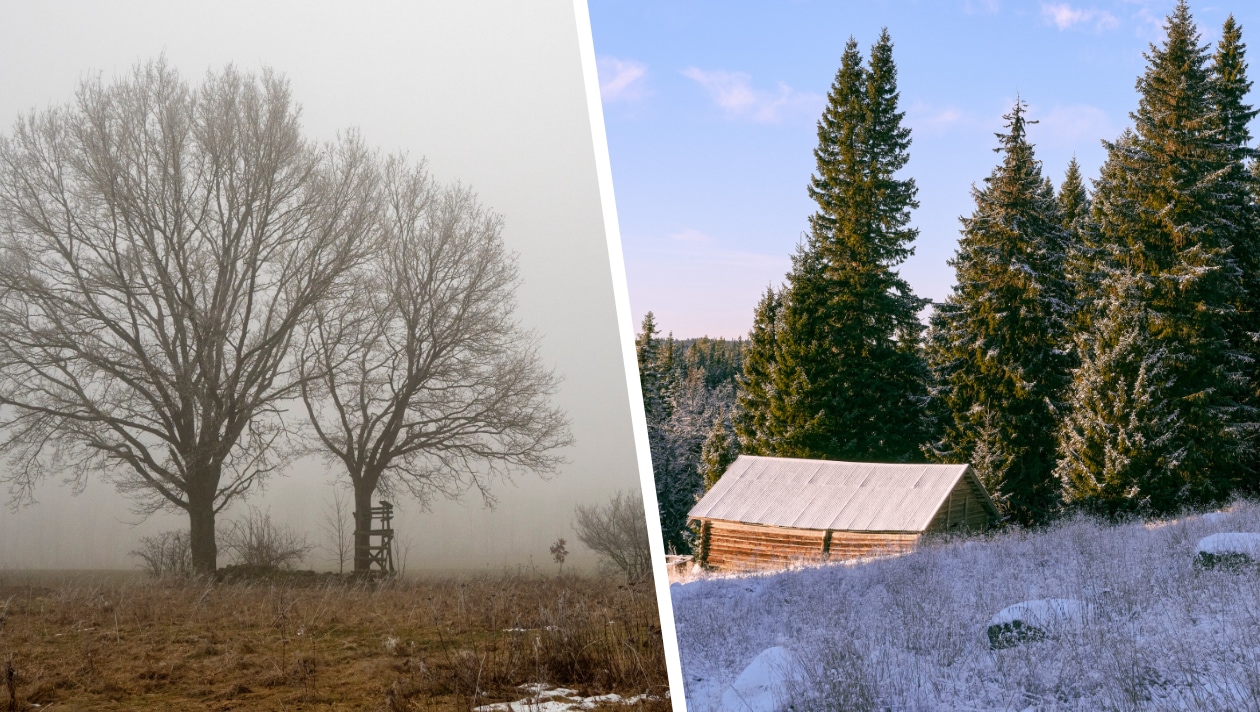 Düster vs. sonnig - Dieser Winter spaltete Österreich in zwei Lager