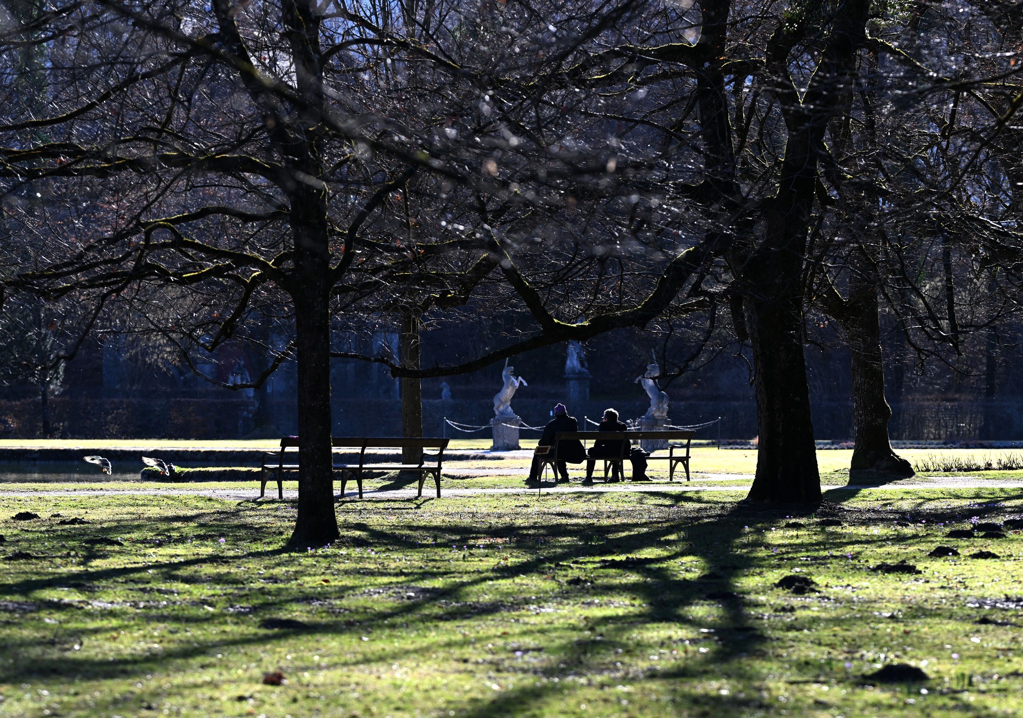 Nur ein Tag wird grau - Frühlingswetter pur: Sonnige Tage setzen sich fort