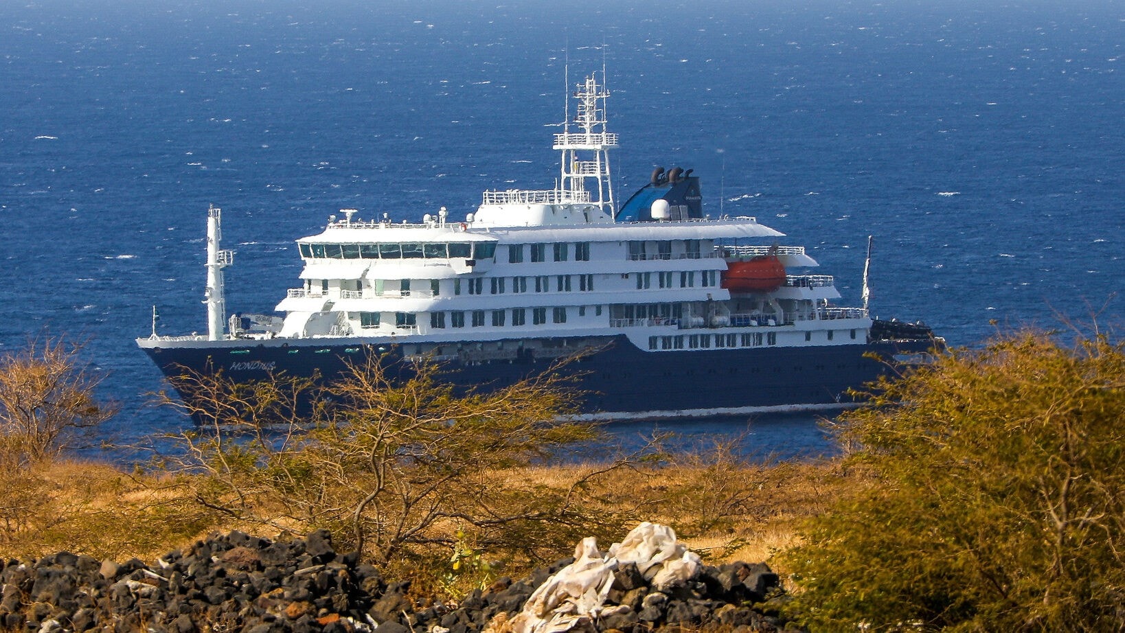 Drei Tote auf Schiff - Hantavirus: Vogeltour als Spur zu „Patient null“?