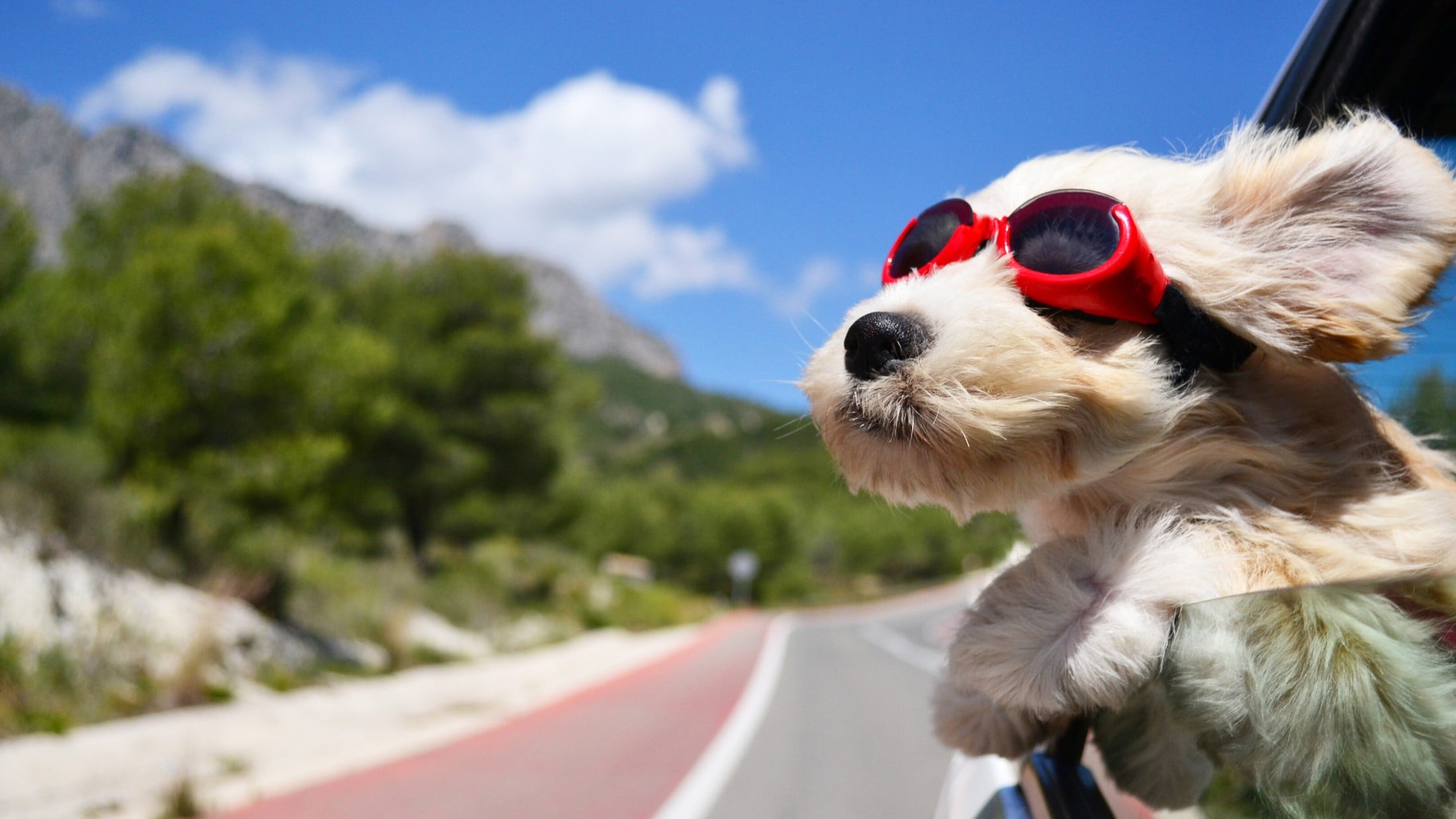 Es wird wieder heiß - Bis zu 34 Grad: Sommerliche Hitze kommt zurück