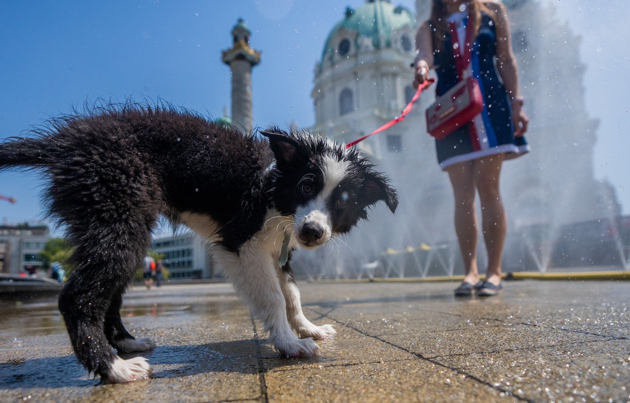 Das Wetter heute - Kaltfront bringt Abkühlung, aber der Sommer bleibt