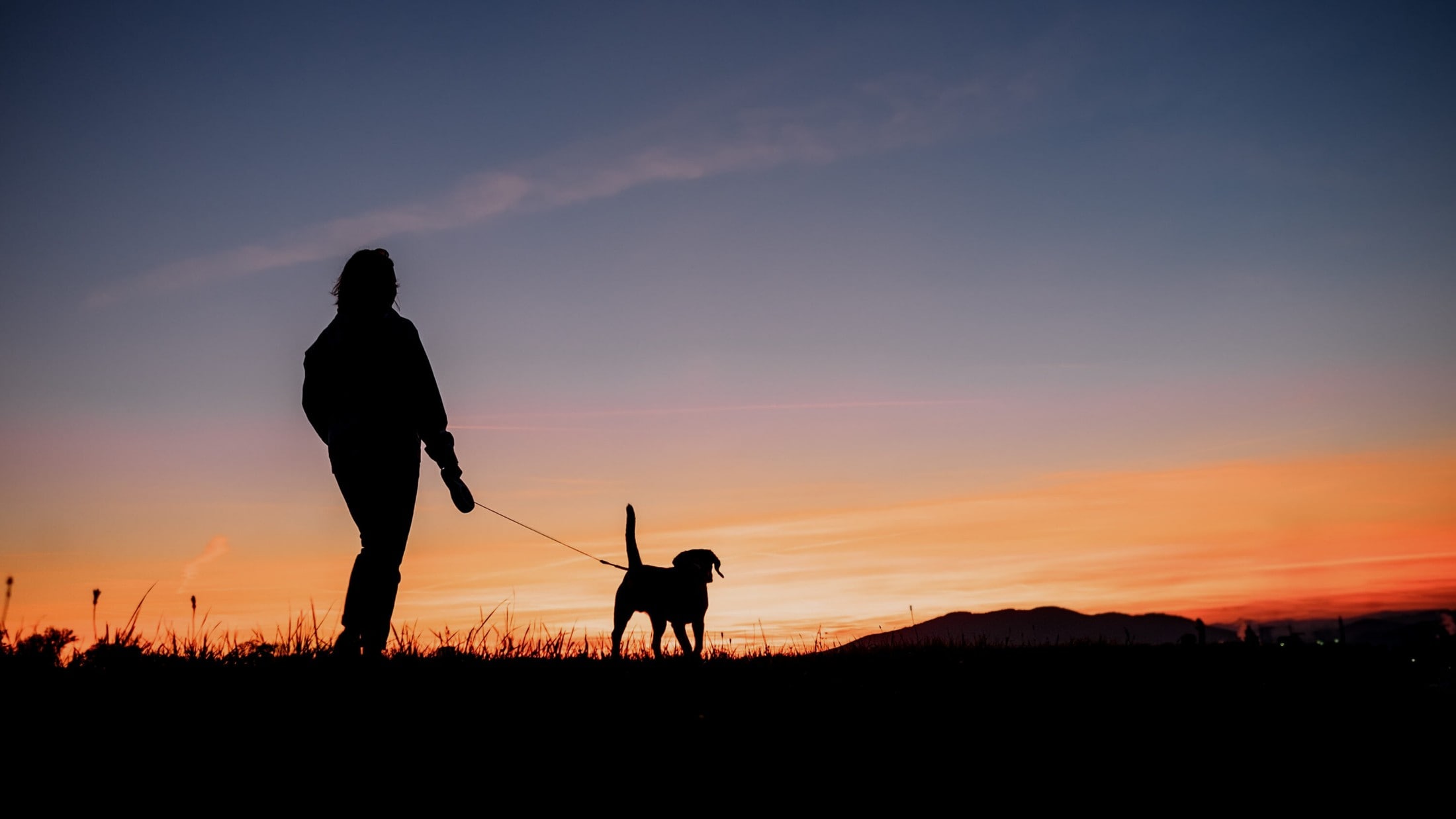Vor allem im Osten - Sommer statt Herbst: So mild wird die Nacht