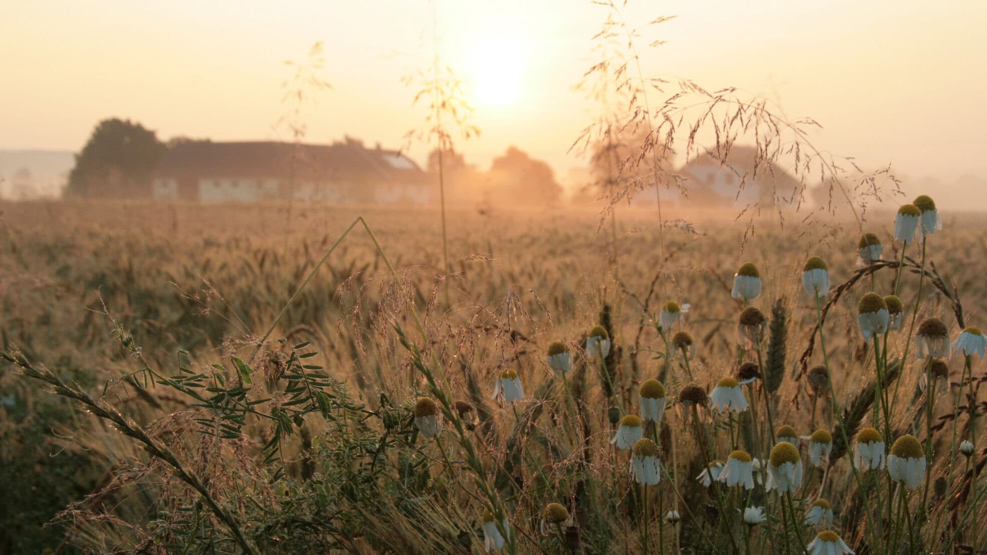 Erneut bis zu 29 Grad - Erste Herbstboten am Himmel – doch Sommer bleibt