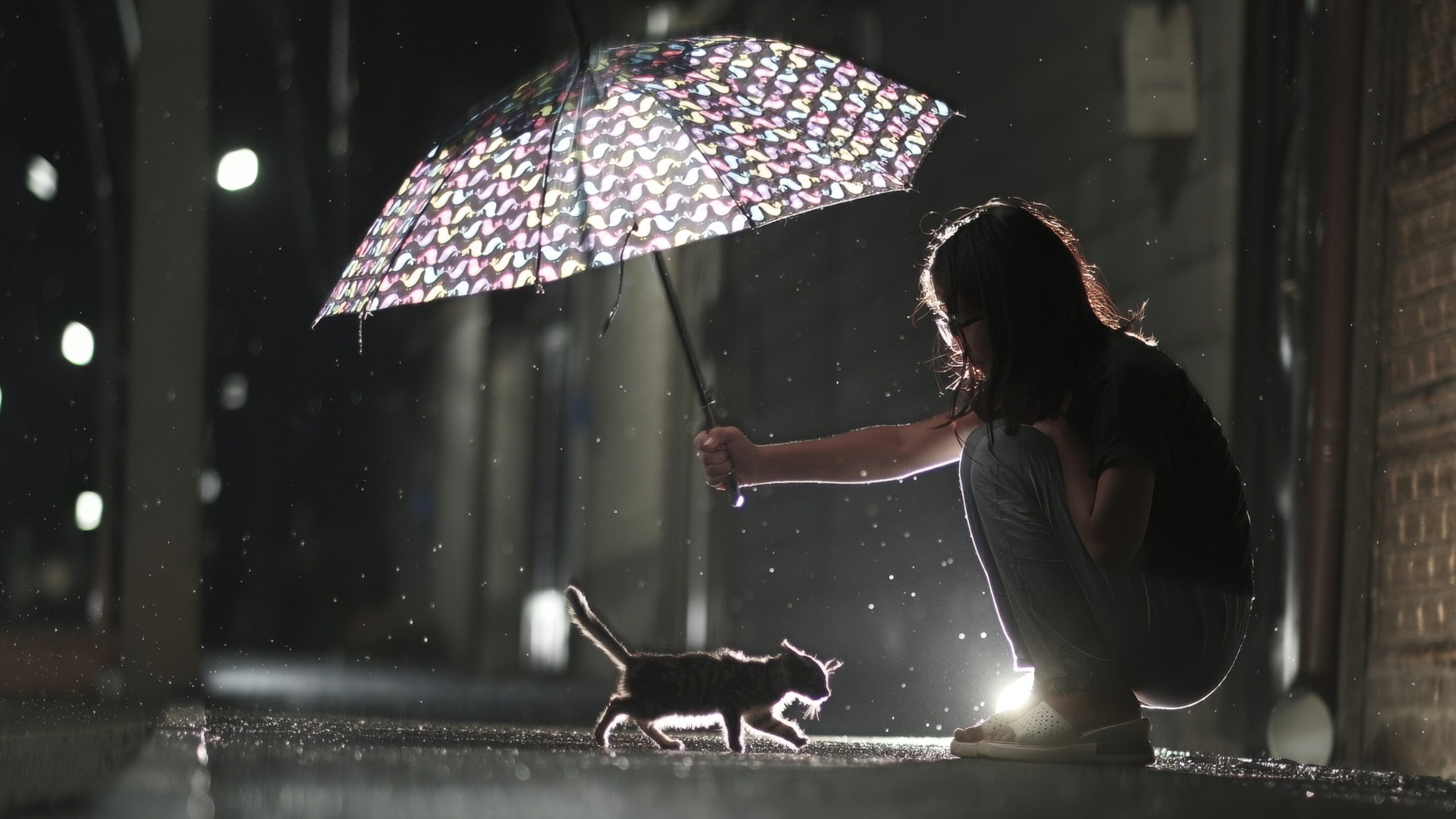 Regenschirm einpacken! - Donner und Regen, dann Ruhe: So wird die Nacht