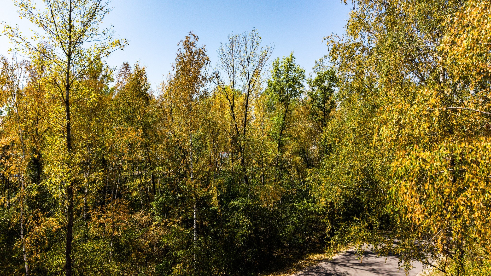 Herbst muss warten - 30 Grad! Sommer denkt noch lange nicht ans Gehen